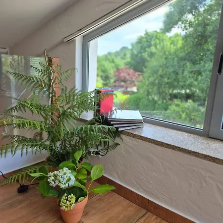 Canto Sonoso Casa vacanze Cinfães